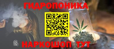 дживик Кунгур