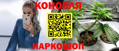 дживик Кунгур