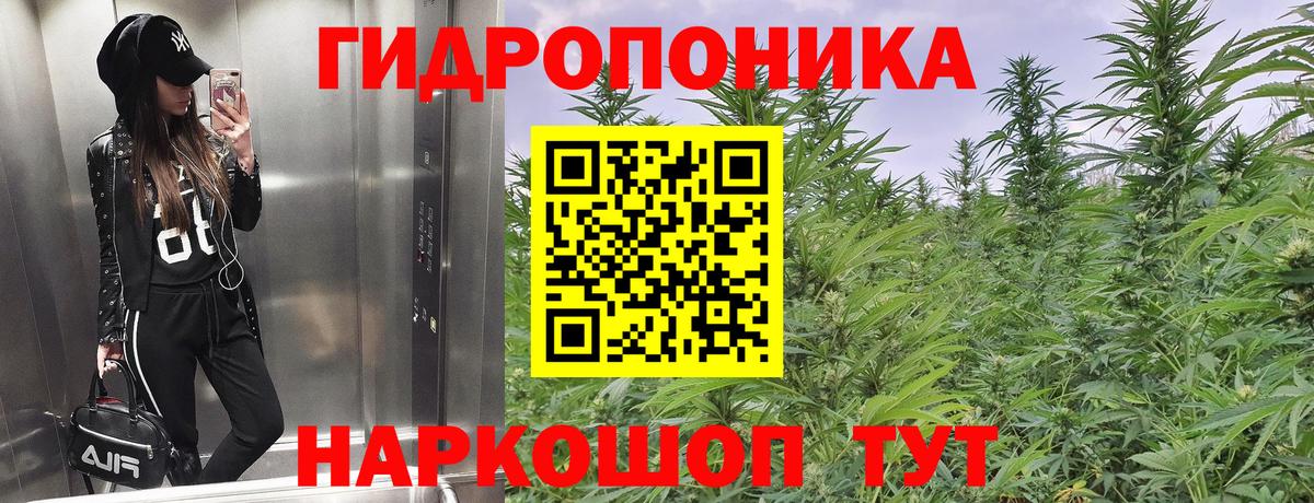 Марихуана тримм  Вход с VPN  Шишки марихуана Bruce Banner  Еманжелинск  МАРИХУАНА Bruce Banner 